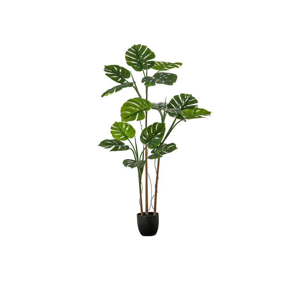 FG124 Artificial Plant - Miola