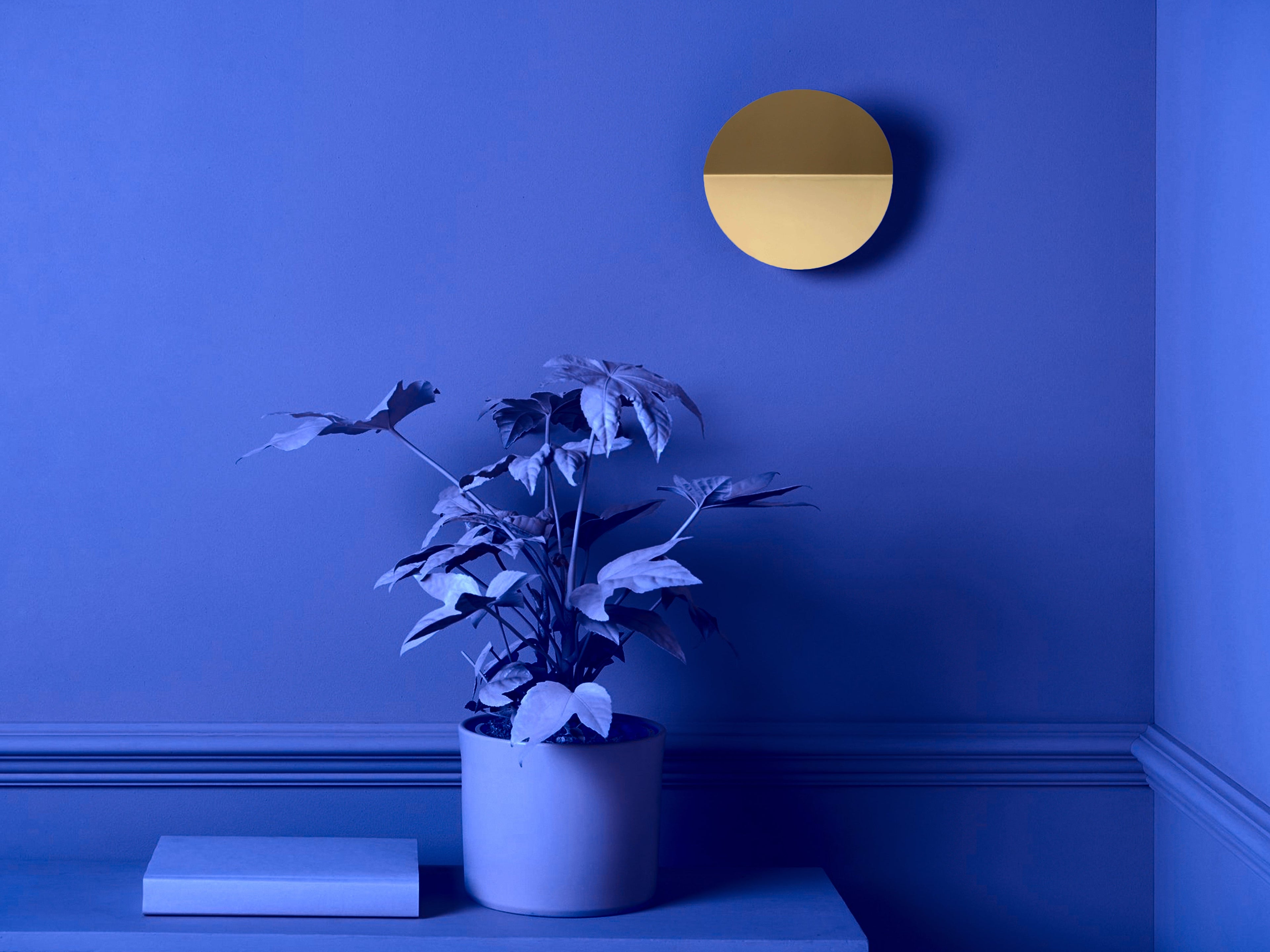 Brass Diffuser Wall Light - Miola