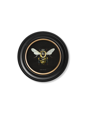 British Bees