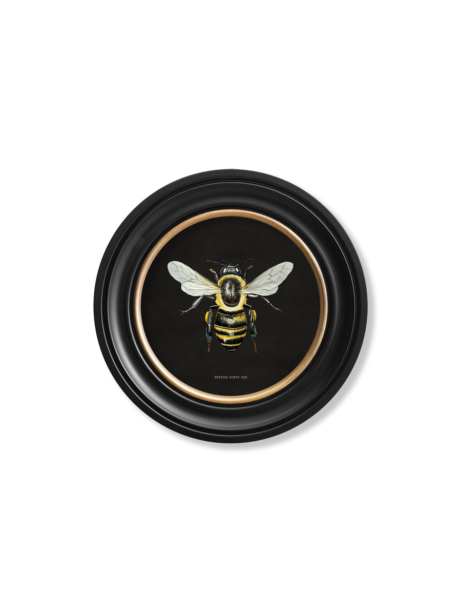 British Bees