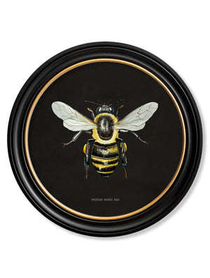 British Bees