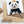 Load image into Gallery viewer, Panda
