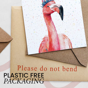 Flamingo