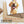 Load image into Gallery viewer, Golden Labrador Dog
