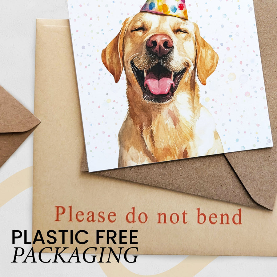 Golden Labrador Dog