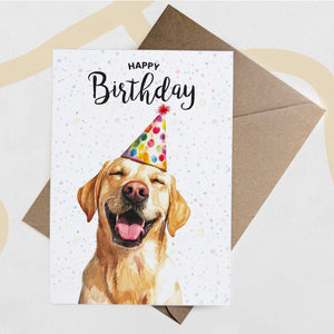 Golden Labrador Dog
