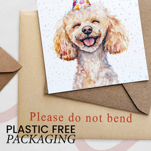 Poodle Dog