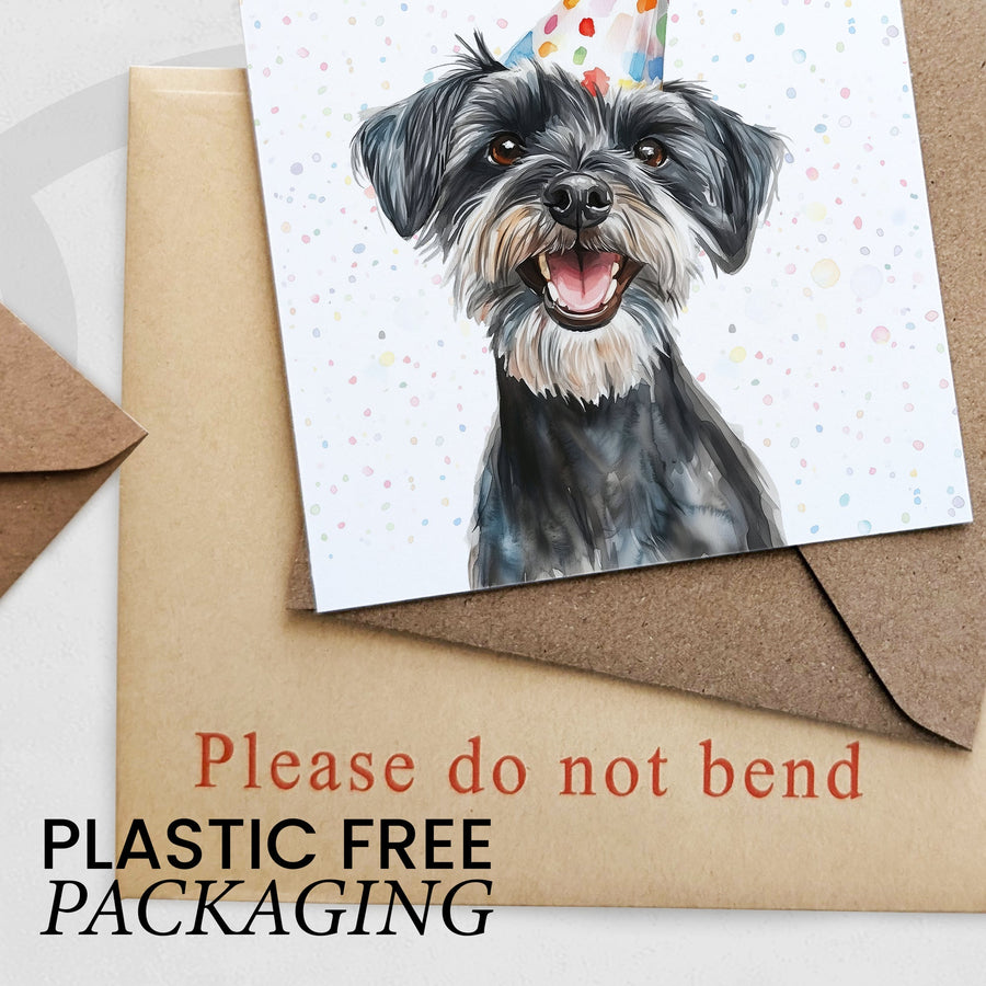 Schnauzer Dog