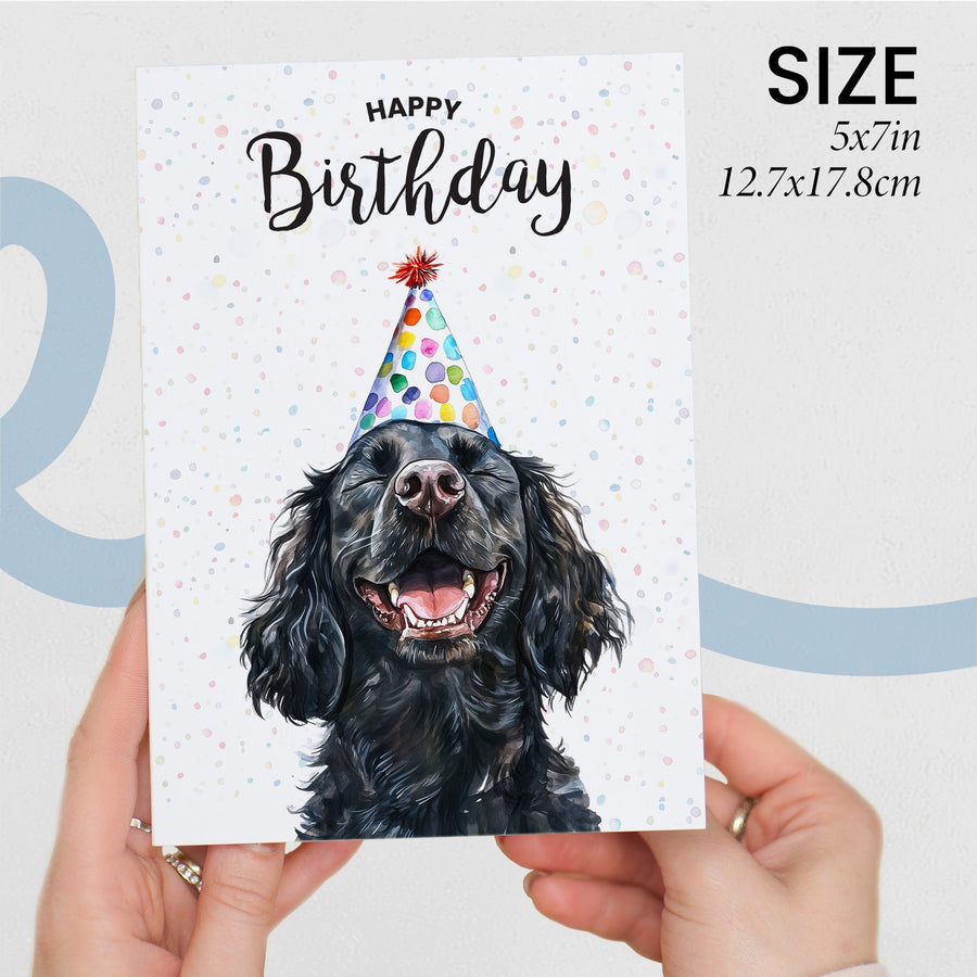 Cocker Spaniel Dog
