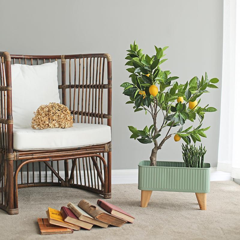 IN11 Decoration - Miola