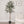 Load image into Gallery viewer, Large Faux Potted Olive Tree

