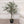 Load image into Gallery viewer, Medium Faux Potted Olive Tree

