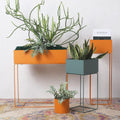 MI Indoor Plant Stand Set - Miola