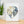 Load image into Gallery viewer, Owl
