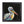 Load image into Gallery viewer, Pelican Print &#39;Pierre&#39;
