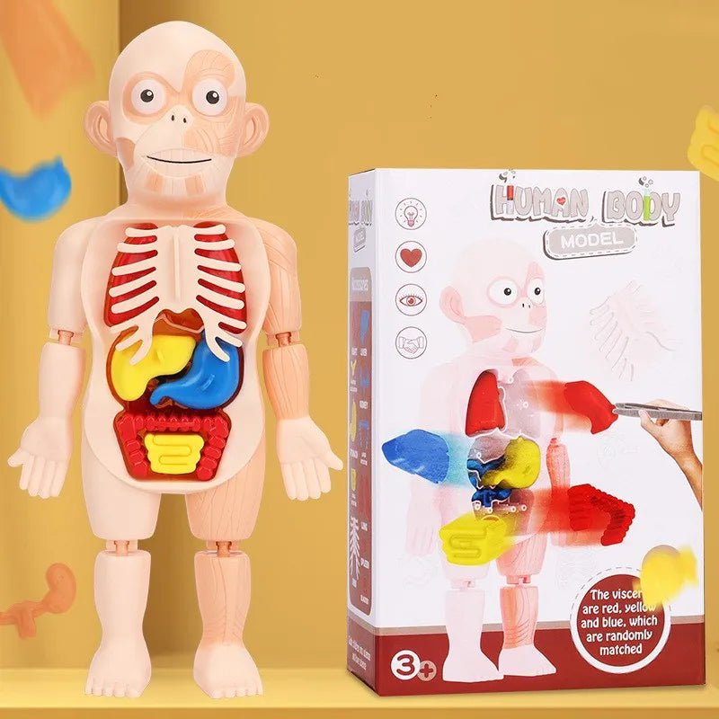 Doctor Toys Human Plastic Toys - Miola