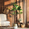RG263 Artificial Plant - Miola