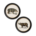 Rhino & Hippo - Miola
