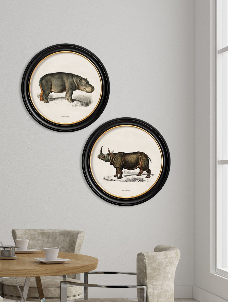 Rhino & Hippo
