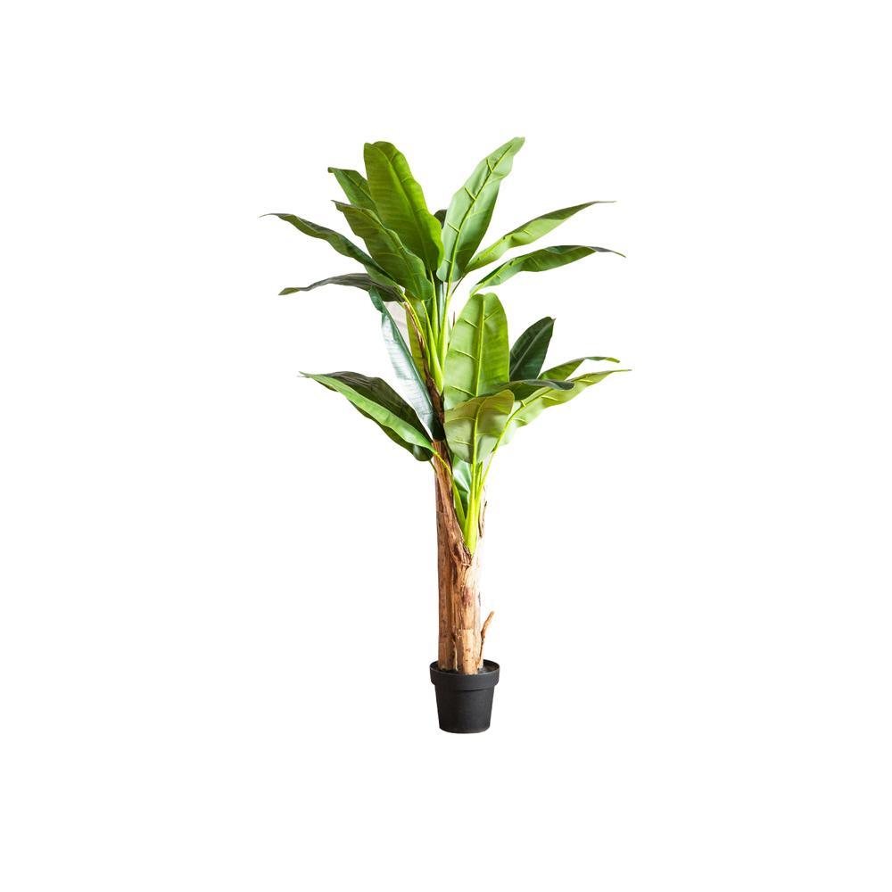 TU14 Artificial Plant - Miola