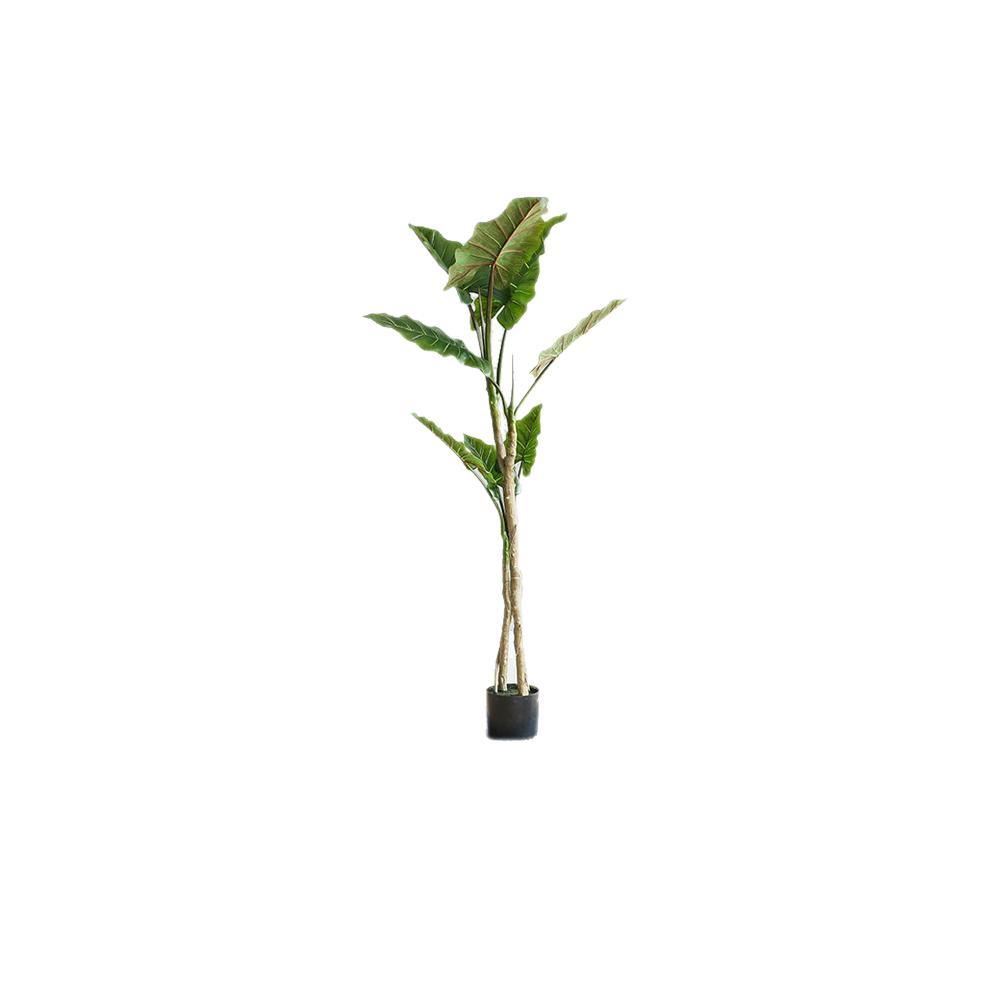 TU19 Artificial Plant - Miola