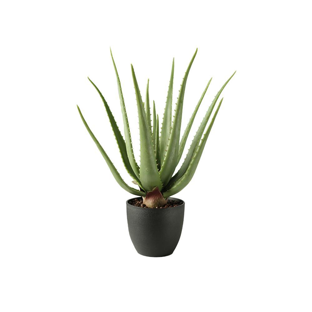 TU23 Artificial Plant - Miola