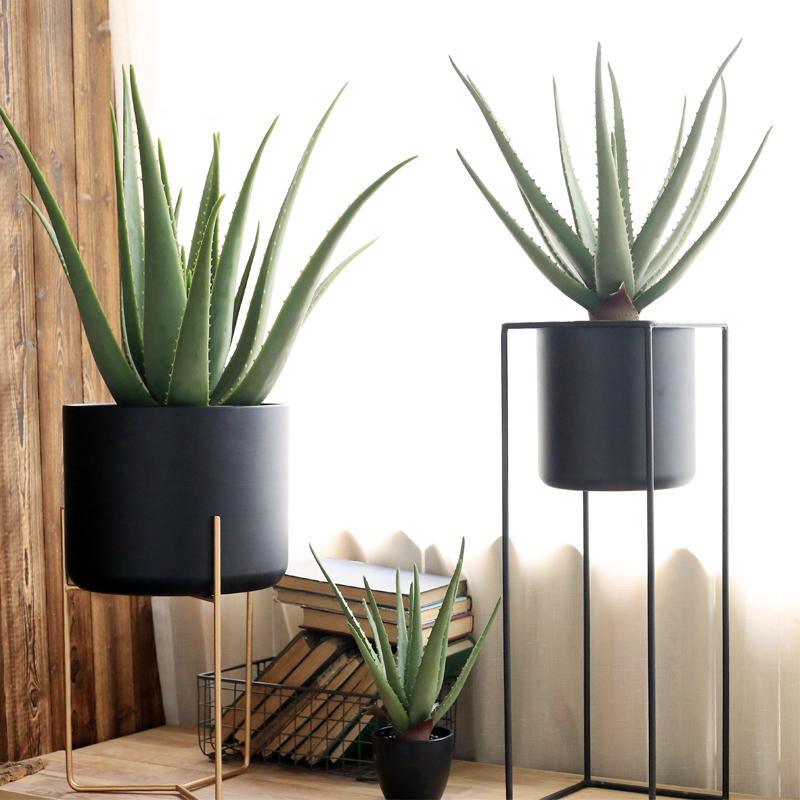 TU23 Artificial Plant - Miola