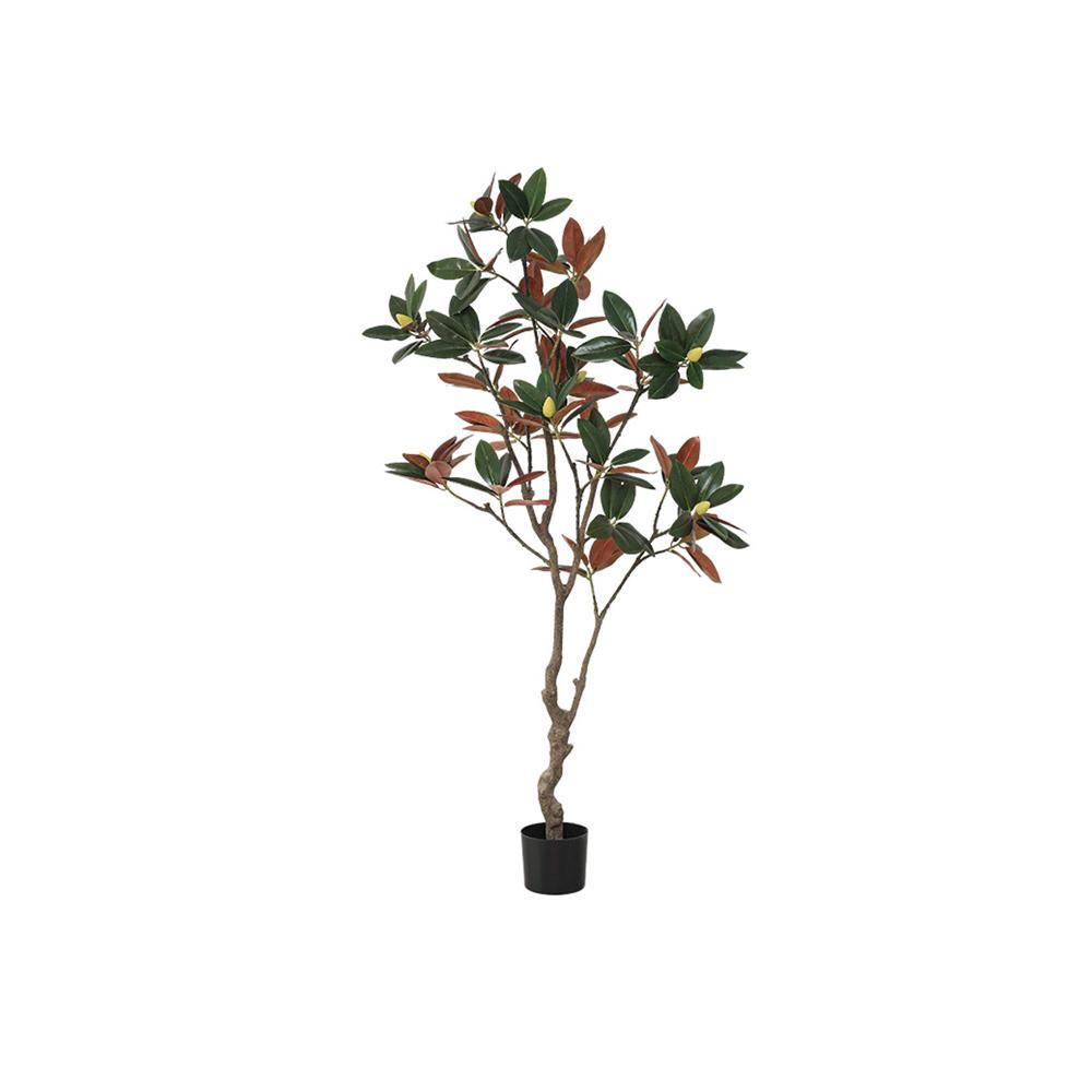 TU801 Artificial Plant - Miola