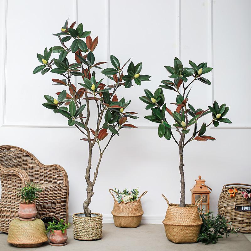 TU801 Artificial Plant - Miola