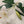 Load image into Gallery viewer, White Faux Lily Single Stem Flower

