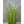 Load image into Gallery viewer, Artificial Grass
