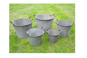 Tin Bucket Planters