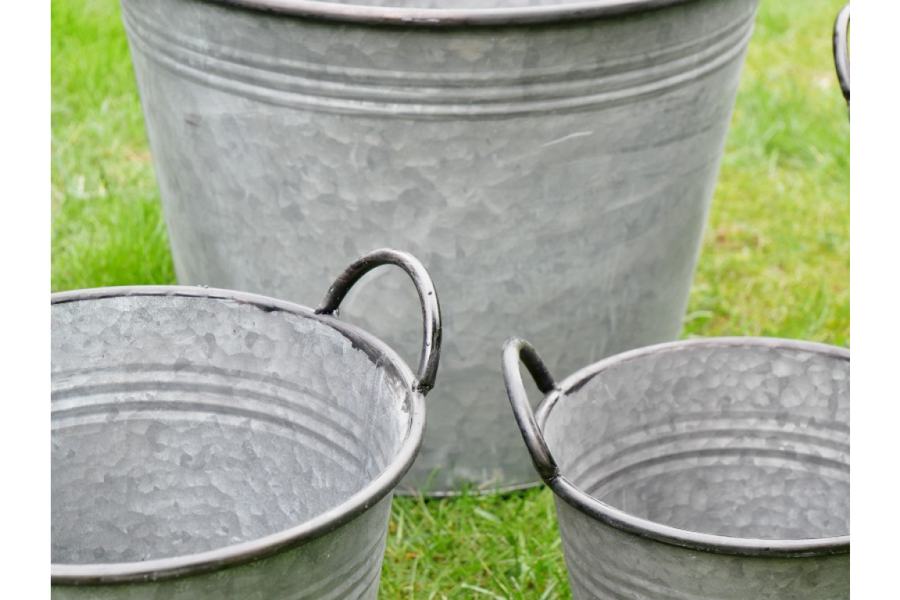 Tin Bucket Planters