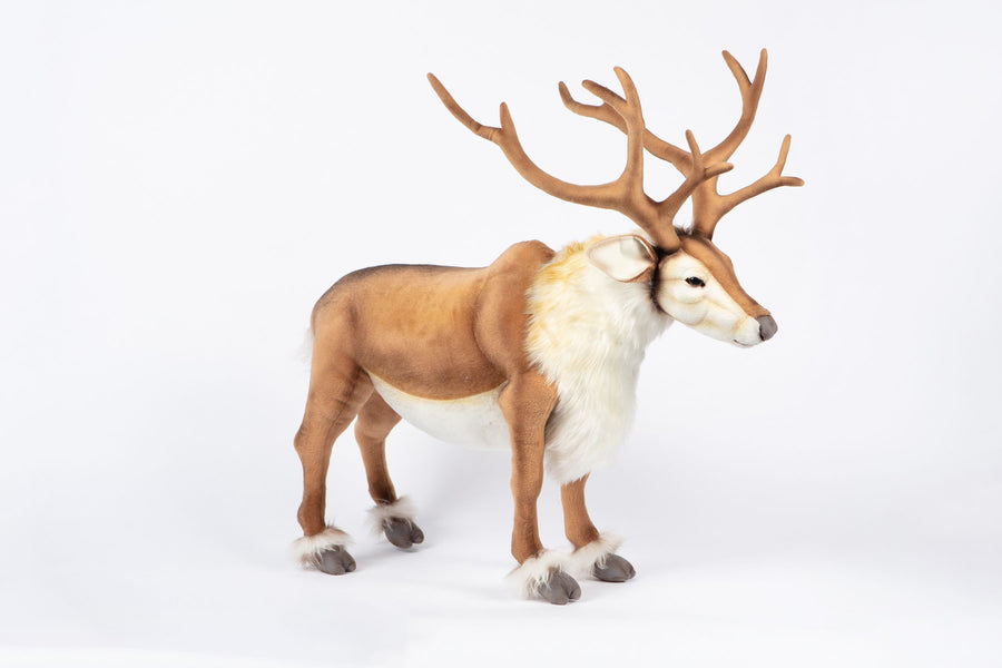 Nordic Reindeer